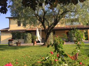 Отель Le Tre Querce B&B, Романо-Д'эццелино